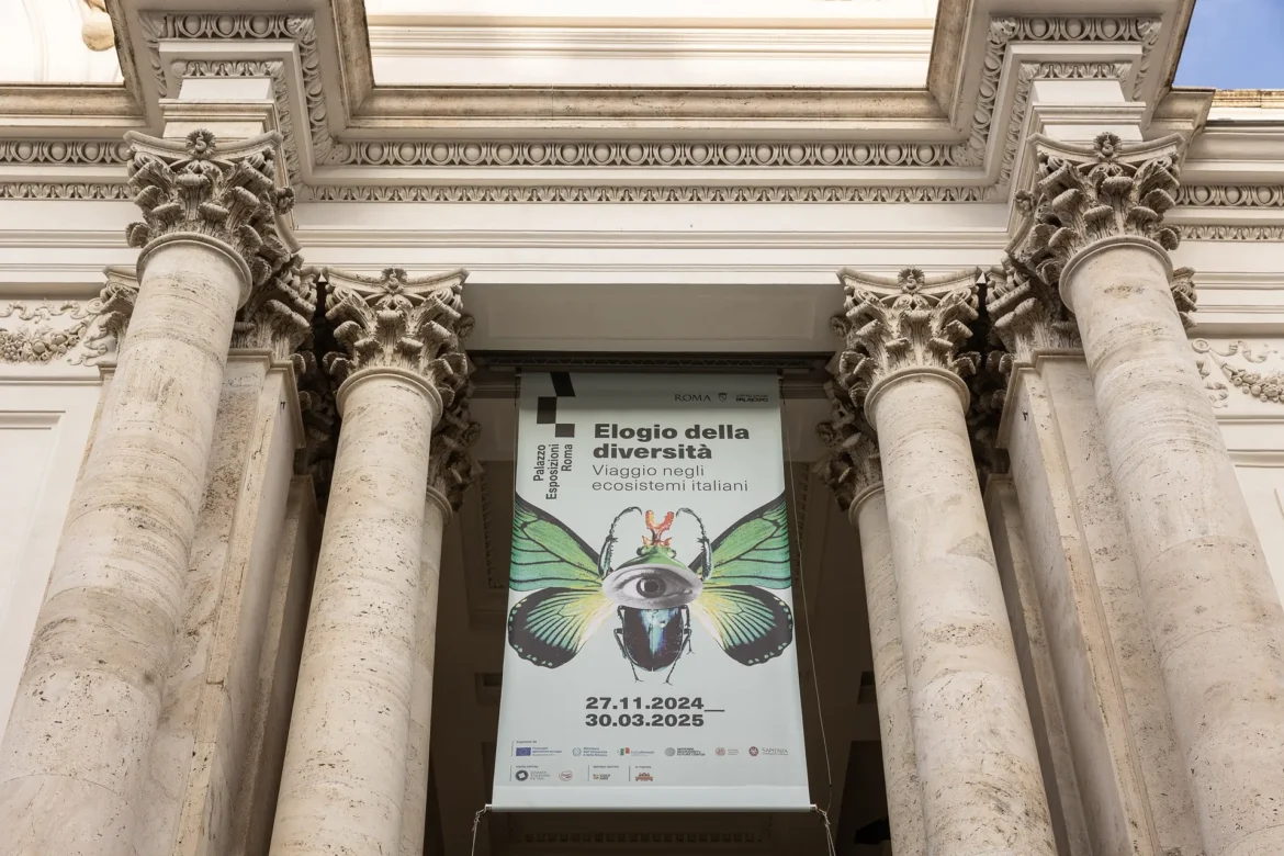 elogio della Diversità - La Mostra a Roma fino al 30 marzo 2025