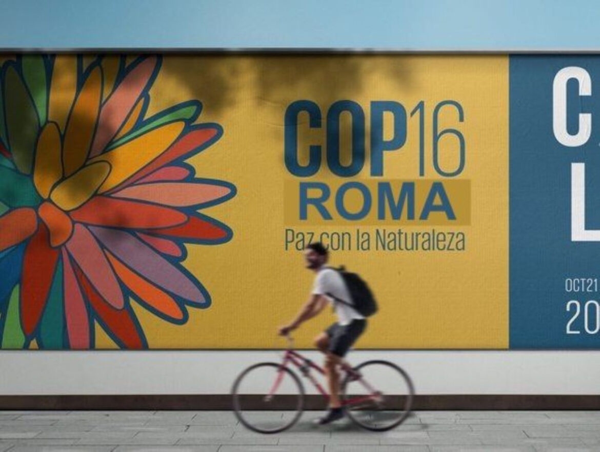 1732775429661 COP16 Roma per la Biodiversità