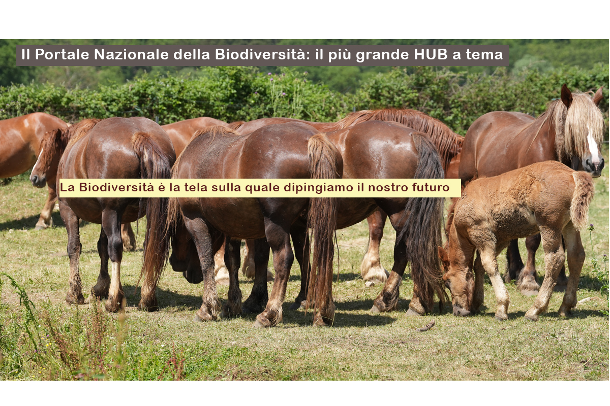 Il Portale della Biodiversità SAVE THE BIODIVERSITY