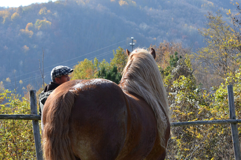 SAN MARTINO, CASTAGNE E VINO!