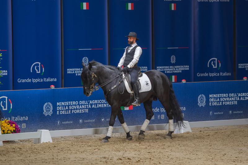 Quattro proposte per i prossimi 100 anni del Cavallo Murgese