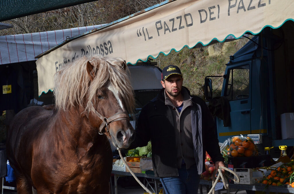 SAN MARTINO, CASTAGNE E VINO!