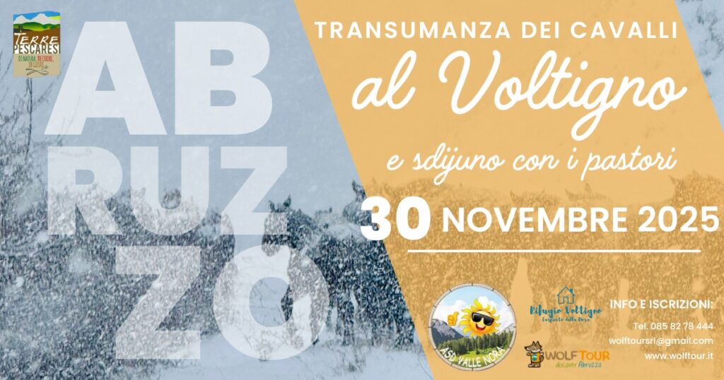  Transumanza in Abruzzo: dietro ai passi degli animali per riscrivere il futuro delle aree interne
